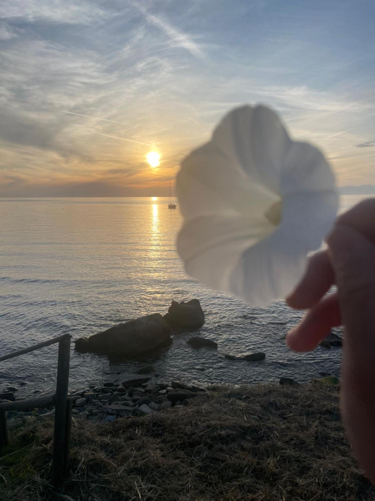 Annabella'S Home Agropoli Buitenkant foto